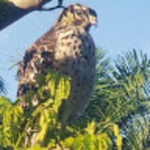 Meet your Posher, Daniel mateo